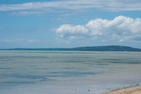 Jettycove Beach House - Accommodation NT 20