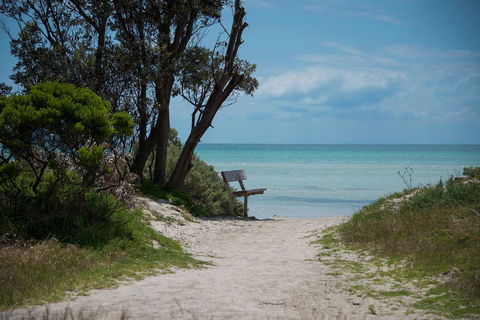 Jettycove Beach House - Accommodation NT 26