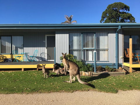 Lakeside At Mallacoota - Accommodation NT 15