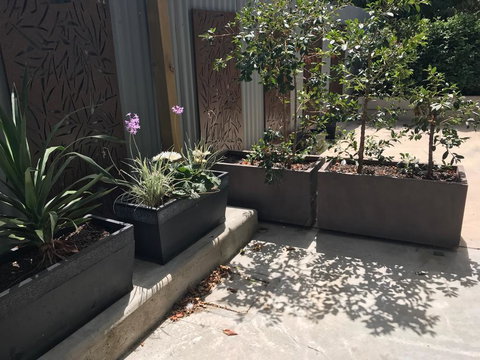 The Cottages At The 1839 - Accommodation NT 3