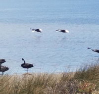 The DOLPHIN PLACE - Accommodation NT