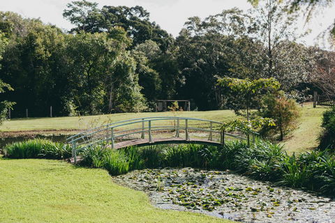 The Eumundi Dairy - NT Tourism 0