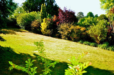 The Glasshouse Boutique Accommodation - Accommodation NT 1