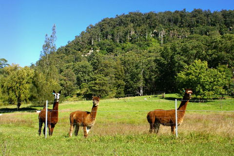 The Heavens Mountain Escape - NT Tourism 2