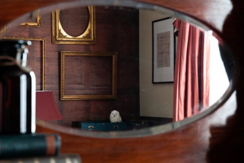 The Hotel Windsor - Accommodation NT 1