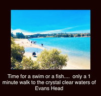 The Lazy Llama - Accommodation NT