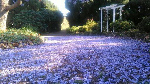 The Old Church Bed And Breakfast - Accommodation NT 2