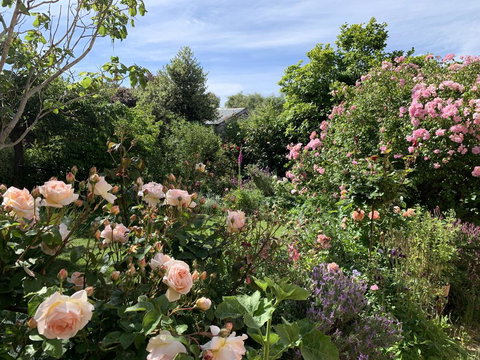 The Racecourse Inn - Accommodation NT 2