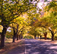 The Shelter Shed Garden Studio Apartment - NT Tourism