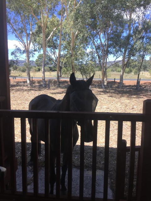 Thie My Chree Retreat - NT Tourism 3