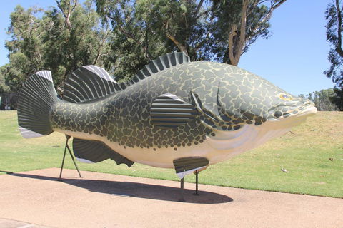 Tocumwal Hotel Motel (The Palms) - NT Tourism 1