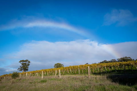 Triple Creek Guest House - Barossa Region - NT Tourism 2