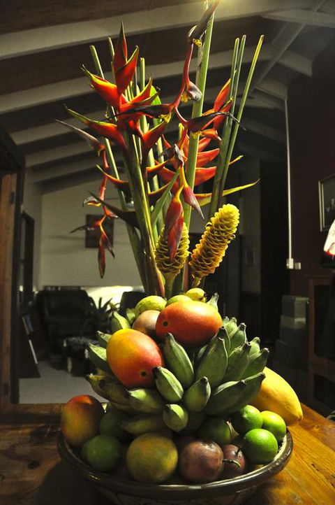 Tropical Bliss Bed And Breakfast - Accommodation NT 3