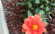 Tumut Valley Motel - thumb 1