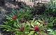 Twilight Grove Farm - thumb 1