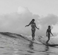 UMINA BEACH KOKOMO- Walk to the Beach FAMILY and PET FRIENDLY set of 3 Vintage Original Holiday Flats  Vintage Caravan and Bat - Accommodation NT