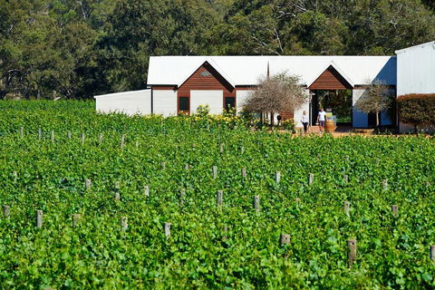 Upper Reach Spa Cottage - NT Tourism 0