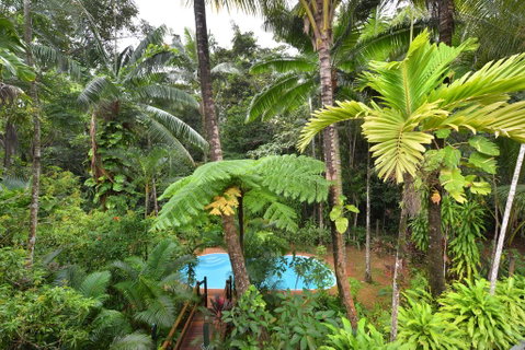 Wait A While Daintree - Accommodation NT 3