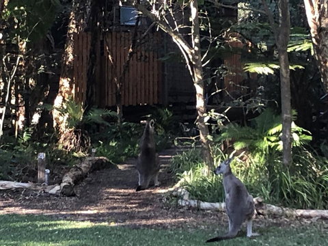 Wanderers Retreat - Accommodation NT 2