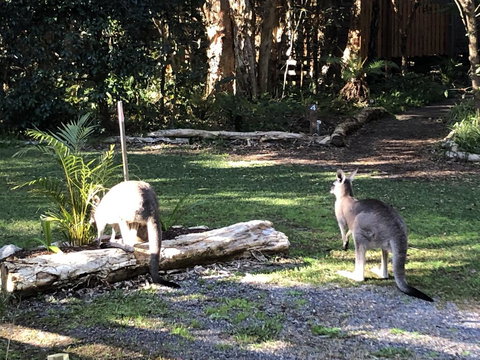 Wanderers Retreat - Accommodation NT 3