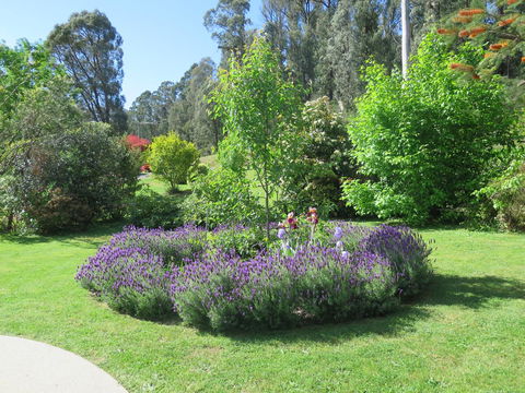 Amelina Cottages - Accommodation NT 32