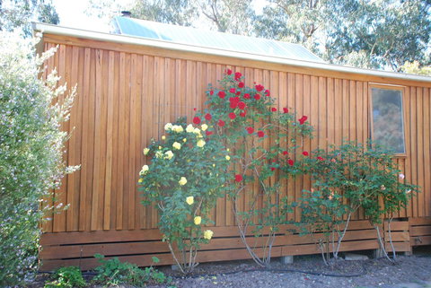 Bluegum Ridge Cottages - Accommodation NT 23