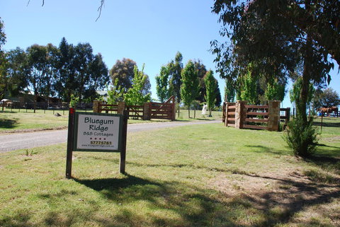 Bluegum Ridge Cottages - Accommodation NT 1