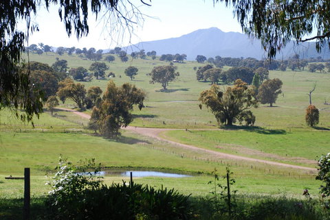 Bluegum Ridge Cottages - Accommodation NT 31