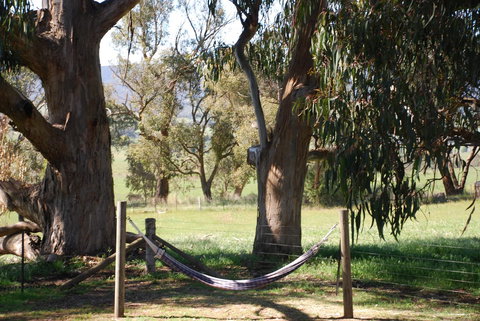 Bluegum Ridge Cottages - Accommodation NT 28