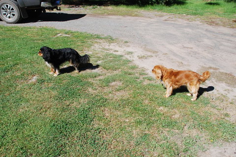 Bluegum Ridge Cottages - Accommodation NT 6