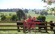 Bluegum Ridge Cottages - thumb 33