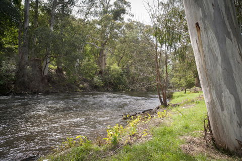 Oscar\'s On The Yarra - Accommodation NT 23