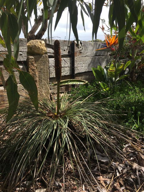 The PC Cottage - Accommodation NT 32