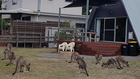 The A-Frame - Accommodation NT 3