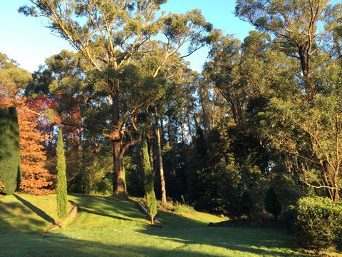 The Dan - Accommodation NT 23