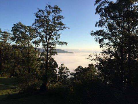 The Dan - Accommodation NT 25