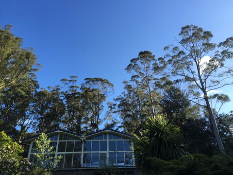 The Dan - Accommodation NT 17