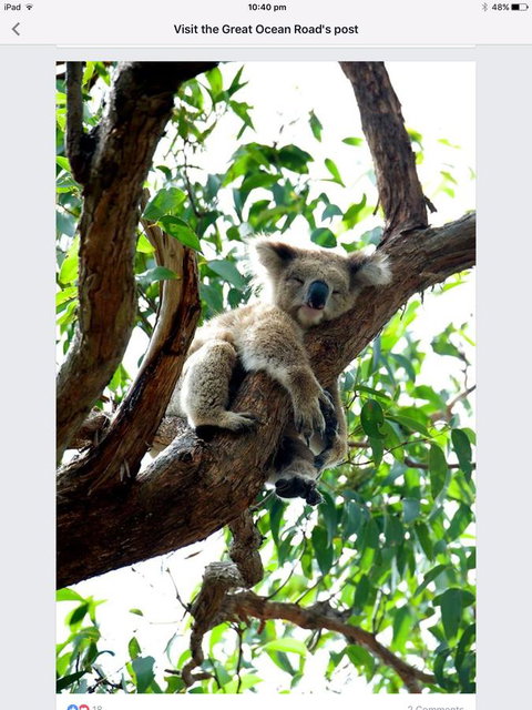 Austral Place 88 Via Merri River - Accommodation NT 24