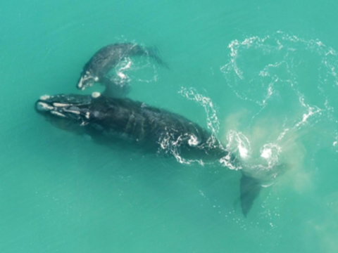 Austral Place 88 Via Merri River - Accommodation NT 23