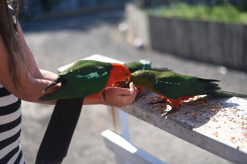 Seacroft Estate - Accommodation NT 13