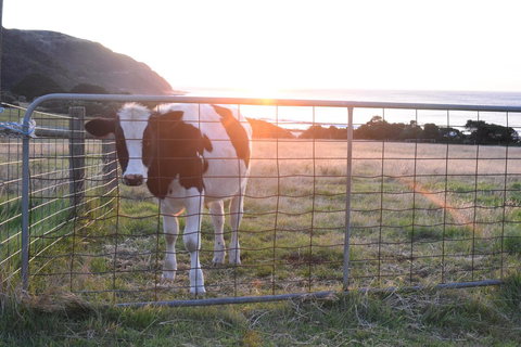 Seacroft Estate - Accommodation NT 19