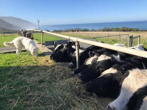 Seacroft Estate - Accommodation NT 5