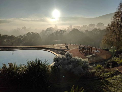 Kangaroo Manor - NT Tourism 6