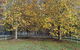 Kangaroo Manor - thumb 11