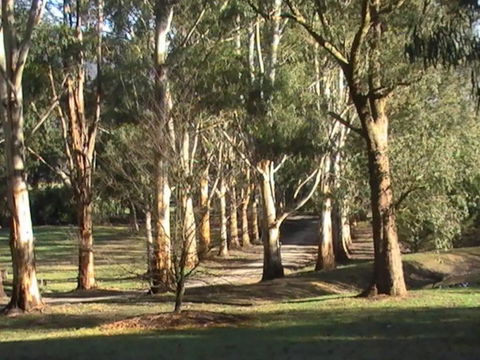 Kangaroo Manor - NT Tourism 21