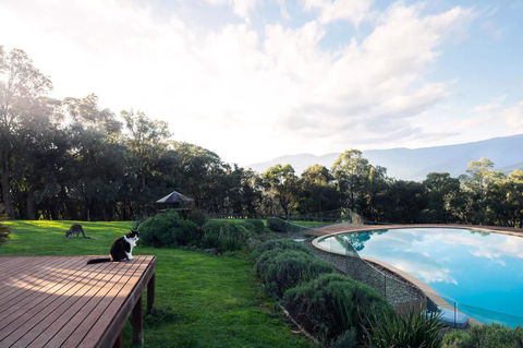 Kangaroo Manor - NT Tourism 23