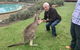 Kangaroo Manor - thumb 13