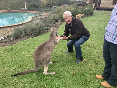 Kangaroo Manor - NT Tourism 13