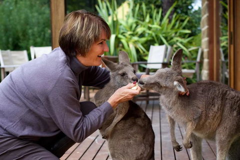 Kangaroo Manor - NT Tourism 20
