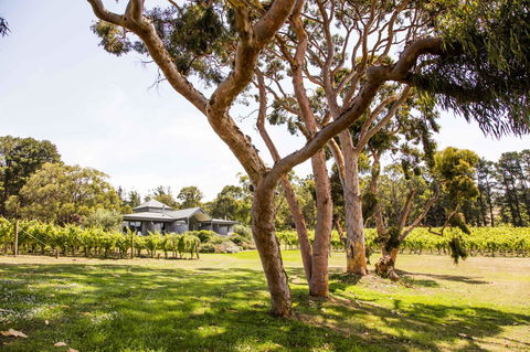 Polperro Villas - Accommodation NT 17